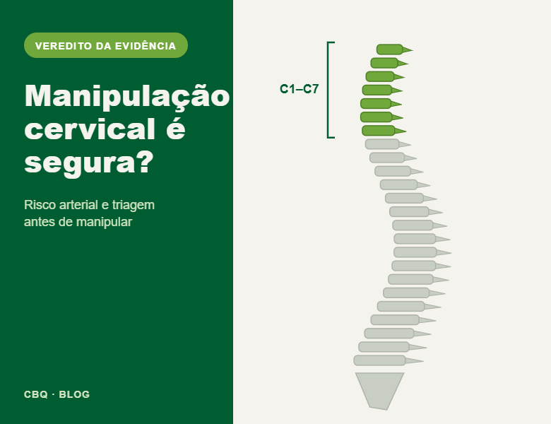 Ilustração da coluna vertebral com a região cervical destacada, capa do post sobre segurança da manipulação cervical e risco arterial